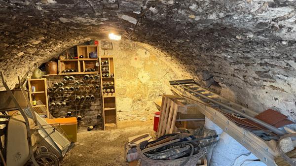 Maison à rénover de 11 pièces à Boinville-en-Mantois - Fort potentiel