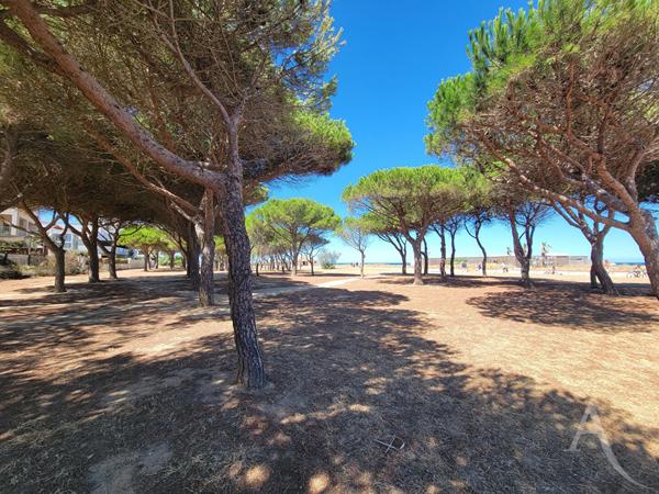 À deux pas de la plage - Appartement T2 avec vue mer et parking