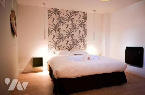 Bel appartement F3 de 80m² en hyper centre avec jacuzzi et sauna