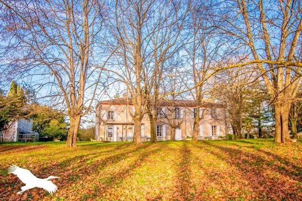 Maison à vendre |  Saverdun |  7 pièces | 268 m²