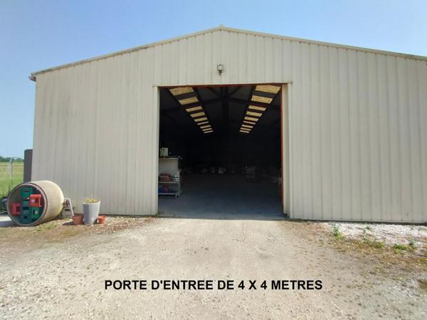 PROPRIETE : CHATEAU + BUREAUX + CHAIS + BATIMENTS + 3600 M² DE TERRAIN