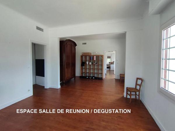 PROPRIETE : CHATEAU + BUREAUX + CHAIS + BATIMENTS + 3600 M² DE TERRAIN