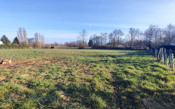 Terrain à vendre    Gémozac