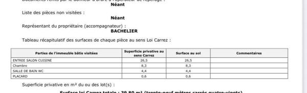 MAGNIFIQUE T2 RENOVE PARIS 15 METRO PASTEUR