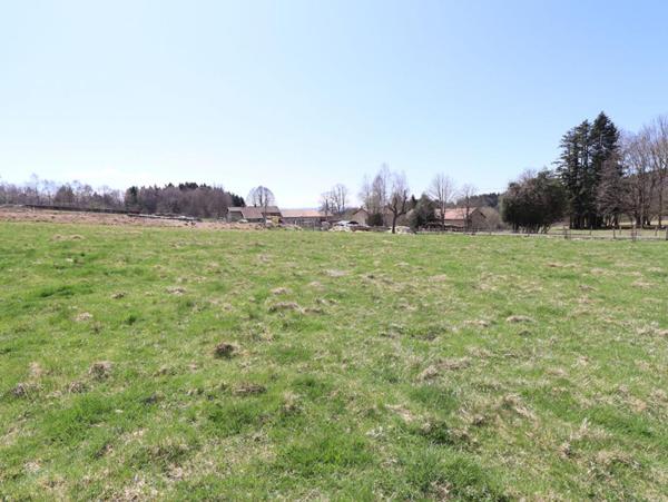 Maison Saint Pierre La Bourlhonne 7 pièce(s) 150 m2 environs et 1ha de terrain