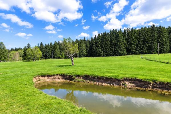 Maison Saint Pierre La Bourlhonne 7 pièce(s) 150 m2 environs et 1ha de terrain