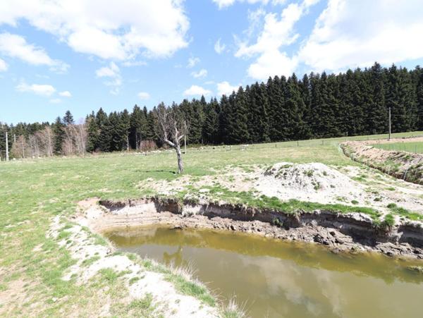 Maison Saint Pierre La Bourlhonne 7 pièce(s) 150 m2 environs et 1ha de terrain