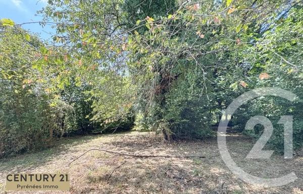 Maison à vendre  3 pièces - 150 m 2   MONTREJEAU  - 31