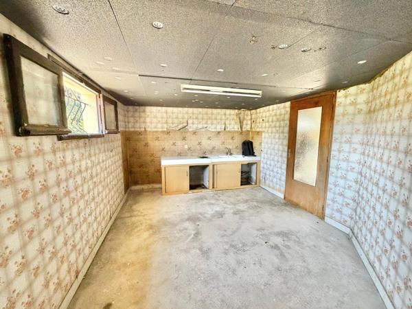 Maison avec grand terrain et garage en rez-de-jardin