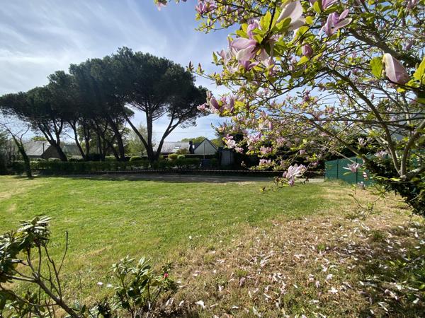 terrain constructible Sarzeau 449m²