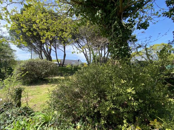 terrain constructible Sarzeau 449m²