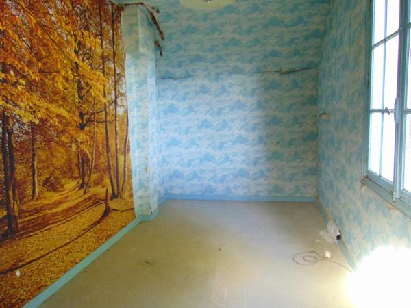 MAISON EN MEULIERE A REHABILITER