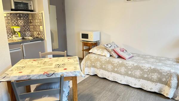 Appartement à vendre 1 pièces GREOUX LES BAINS (04)