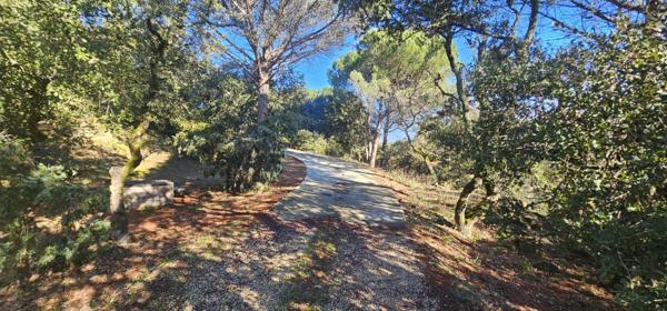 Suze-la-Rousse (26790) Suze-la-Rousse - Belle propriété avec parc arboré, sur terrain de 4 300 m² et grande piscine 10 m x 5 m