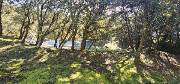 Suze-la-Rousse (26790) Suze-la-Rousse - Belle propriété avec parc arboré, sur terrain de 4 300 m² et grande piscine 10 m x 5 m