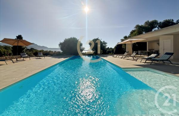 Maison à vendre  7 pièces - 378 m2 LUMIO - 202