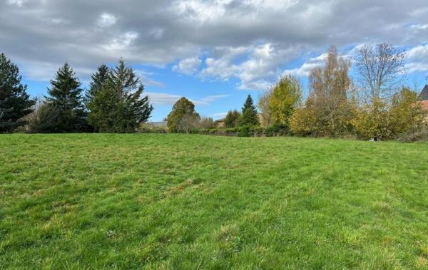 Vente Terrain Saint-mary-le-plain   