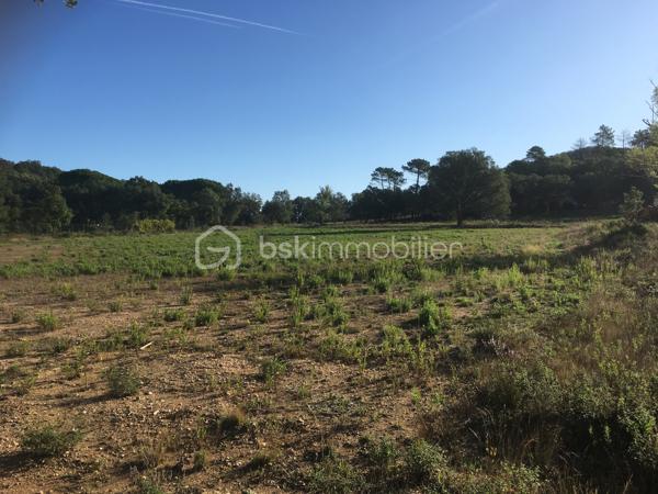 Terrain de loisirs de 280 000 m²