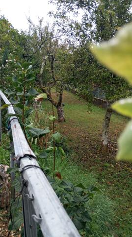 Jongieux (73170) JONGIEUX VILLA DE 1988 SUR 2275 M² DE TERRAIN CLOS ET ARBORE