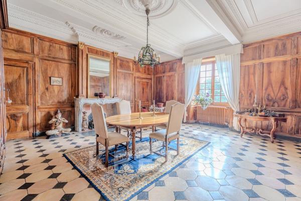 Château historique du XVIe siècle