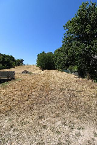 ONZAIN - 20 KM DE BLOIS - 20 KM D'AMBOISE