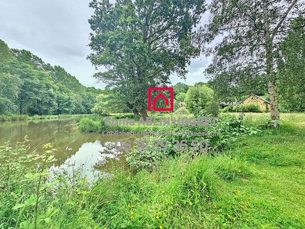 Maison  115 m2 avec dépendances et étang