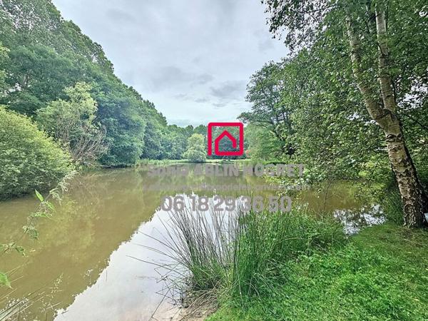 Maison  115 m2 avec dépendances et étang