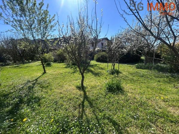 Vente / Terrain constructible à Gaillac (81600)