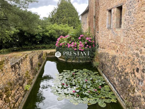 Étonnant château sur 60 hectares, au coeur du Périgord noir., LE BUGUE