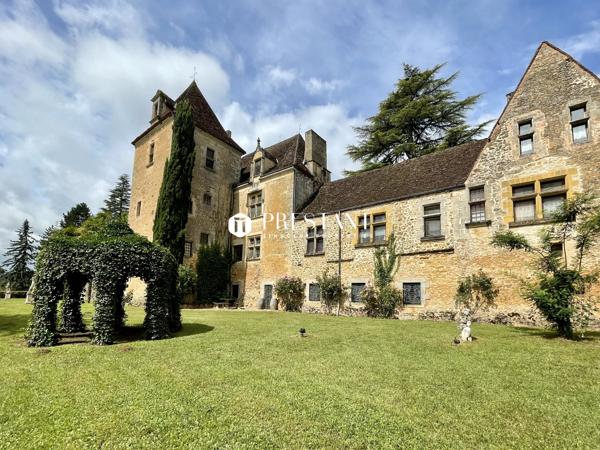 Étonnant château sur 60 hectares, au coeur du Périgord noir., LE BUGUE