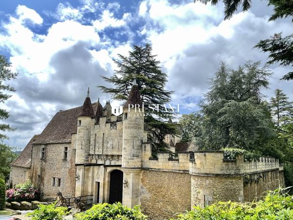 Étonnant château sur 60 hectares, au coeur du Périgord noir., LE BUGUE