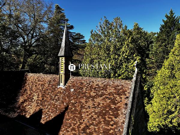 Étonnant château sur 60 hectares, au coeur du Périgord noir., LE BUGUE