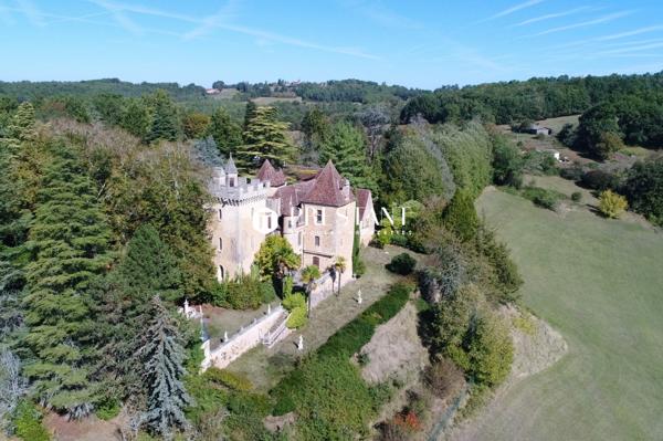 Étonnant château sur 60 hectares, au coeur du Périgord noir., LE BUGUE