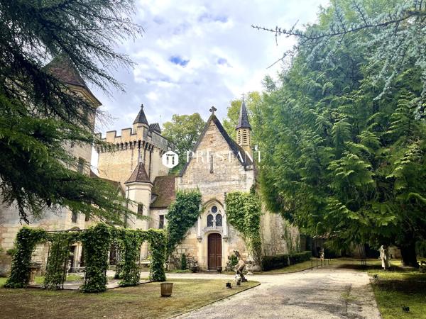 Étonnant château sur 60 hectares, au coeur du Périgord noir., LE BUGUE