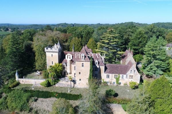 Étonnant château sur 60 hectares, au coeur du Périgord noir., LE BUGUE