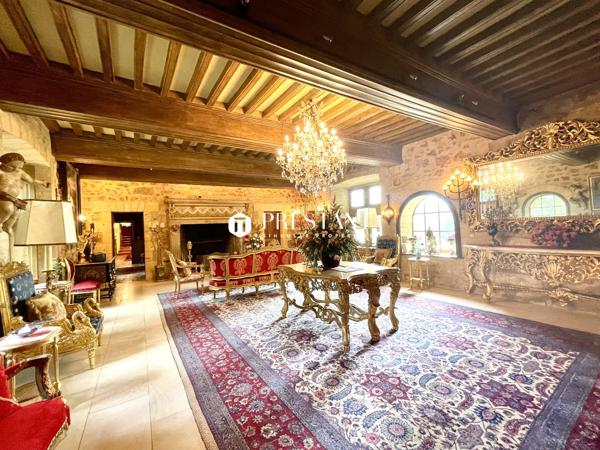 Étonnant château sur 60 hectares, au coeur du Périgord noir., LE BUGUE