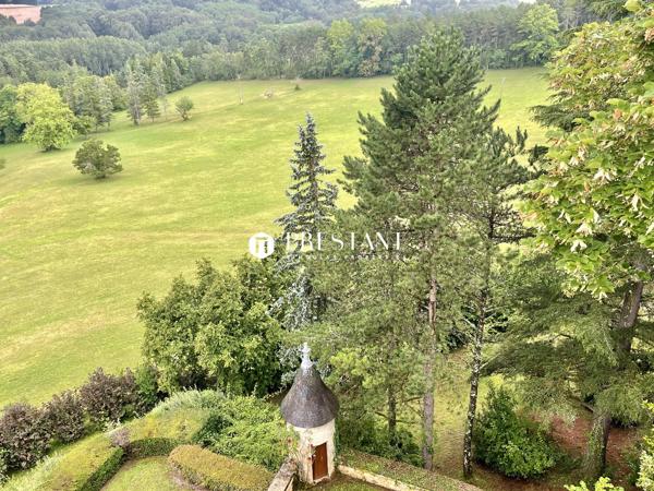 Étonnant château sur 60 hectares, au coeur du Périgord noir., LE BUGUE