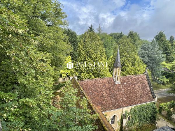 Étonnant château sur 60 hectares, au coeur du Périgord noir., LE BUGUE