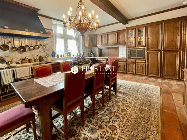 Étonnant château sur 60 hectares, au coeur du Périgord noir., LE BUGUE