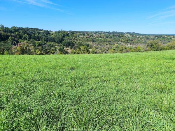Terrain à bâtir avec vue