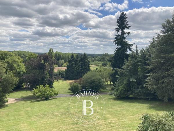 Veuves, Château 16 Chambres -  558 m² à vendre