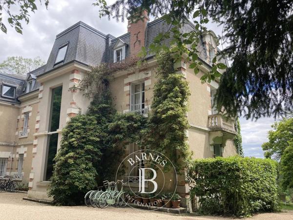 Veuves, Château 16 Chambres -  558 m² à vendre