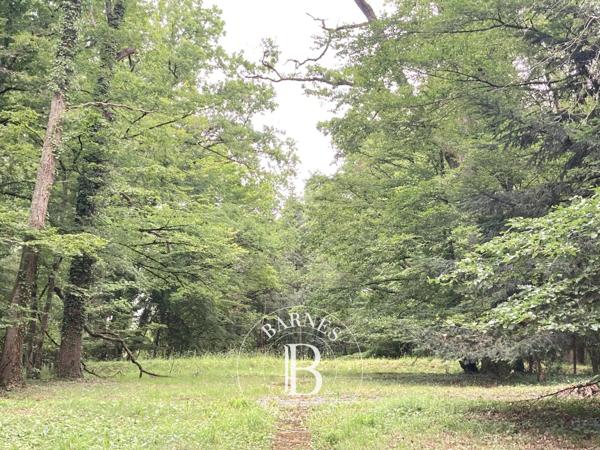 Veuves, Château 16 Chambres -  558 m² à vendre