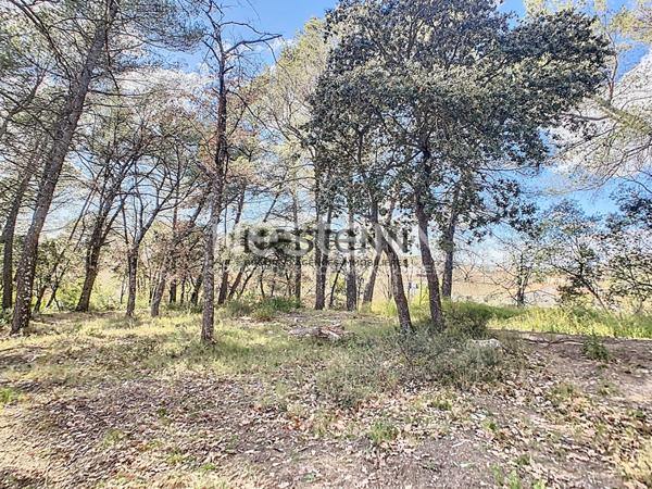 Terrain constructible de 1 595 m² au calme absolu à Pourrières