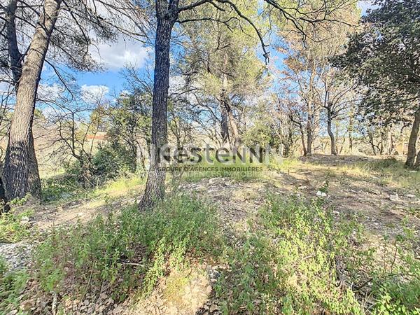 Terrain constructible de 1 595 m² au calme absolu à Pourrières