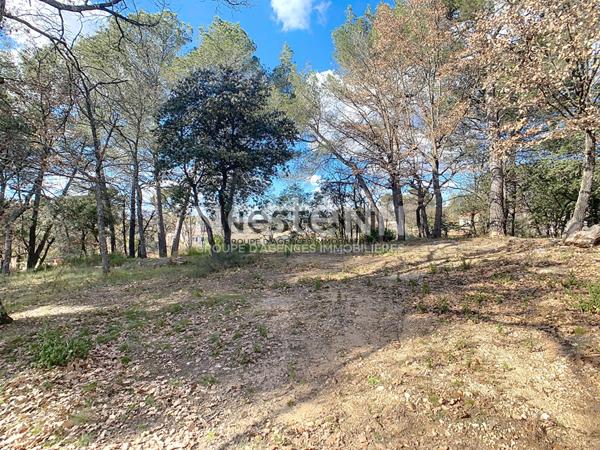 Terrain constructible de 1 595 m² au calme absolu à Pourrières