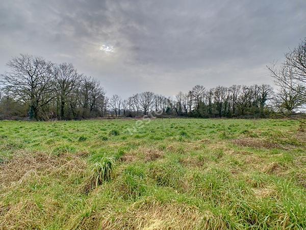 Bâtiments agricole à vendre à la Renaudière