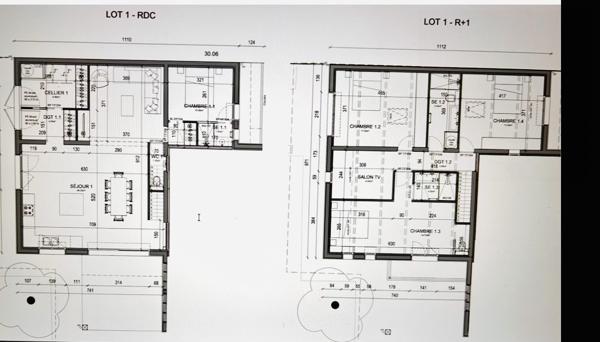 Maison 4 chambres avec jardin privatif