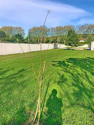 Maison avec grand terrain et piscine – Tresques