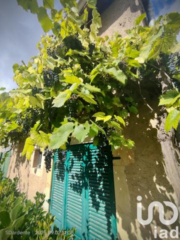 Maison à vendre 11 pièces 410 m² Damparis